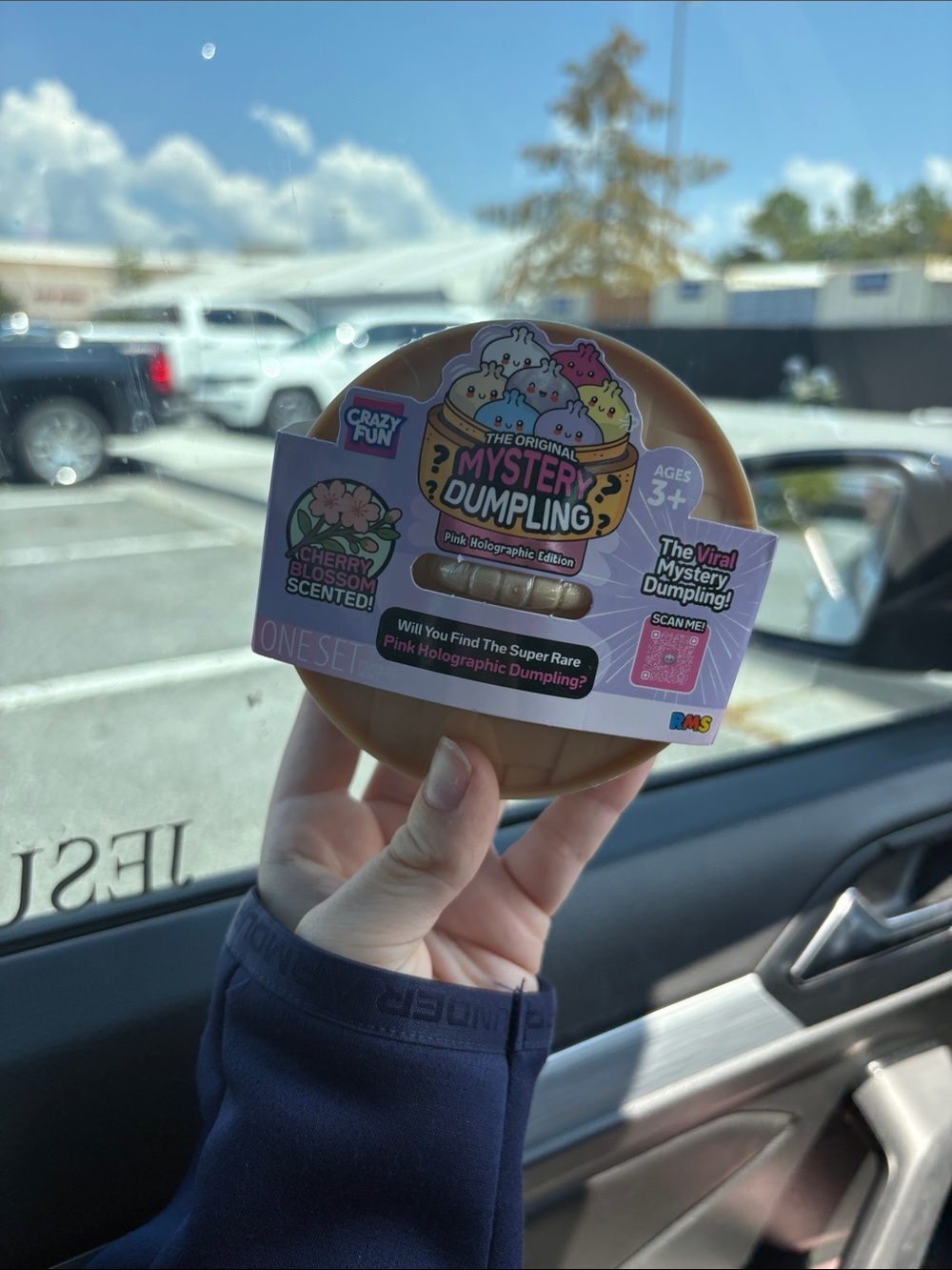 Mystery Dumpling Cherry Blossom Scented Surprise - rms